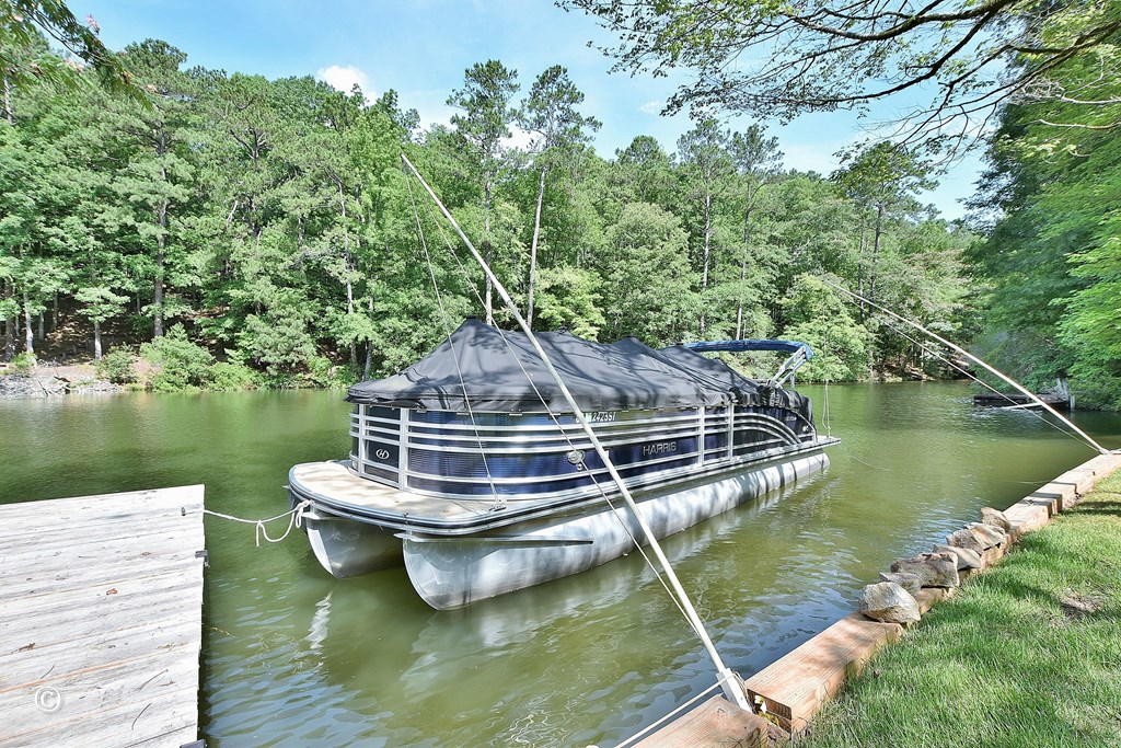 299 Coldiviees Road Hamilton, GA 31811 - Photo 49 of 55 a view of a lake with wooden stairs and bridge and large trees