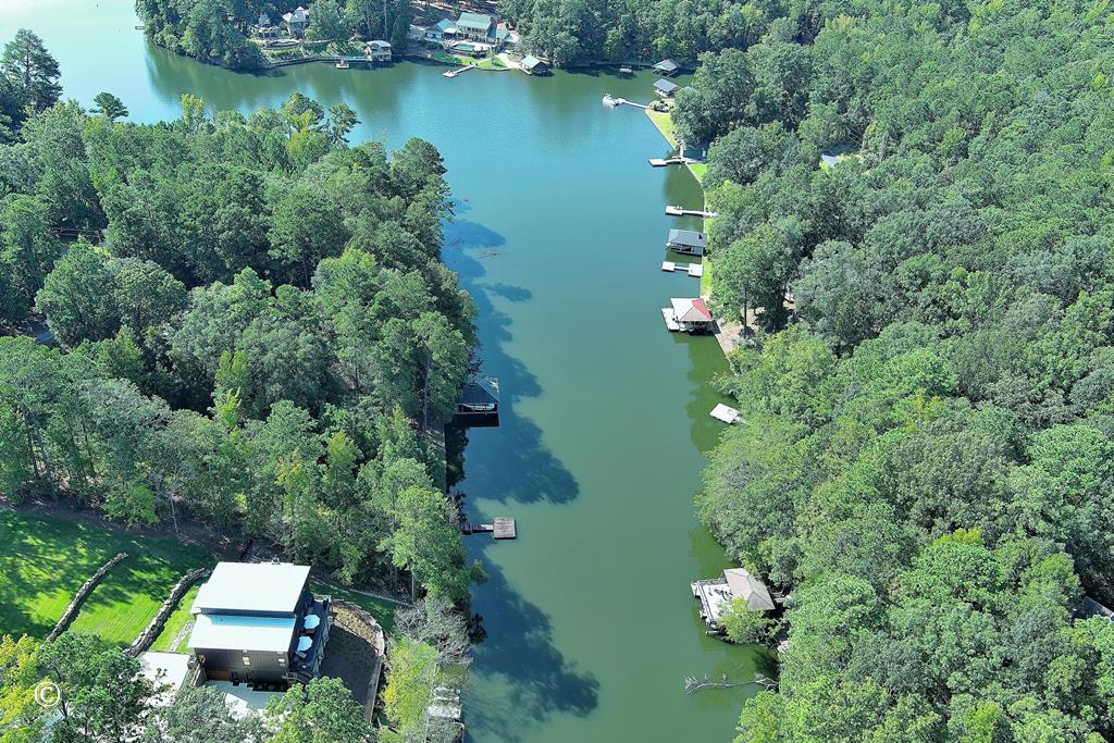 299 Coldiviees Road Hamilton, GA 31811 - Photo 7 of 55 an aerial view of a house with yard swimming pool and outdoor seating