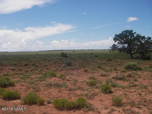 845 High Grv Road Williams, AZ 86046 - Photo 2 of 2 very Light slope vacant land
