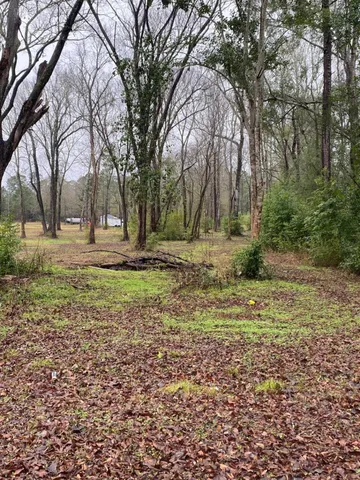 a fire hydrant in the middle of a field