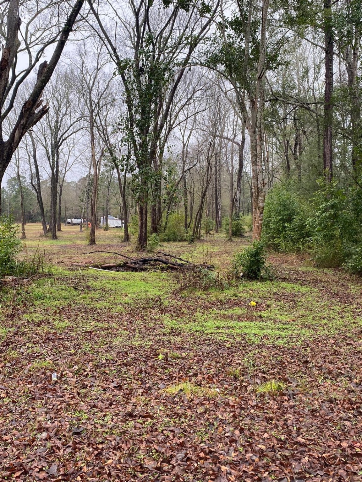 a fire hydrant in the middle of a field