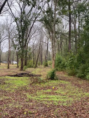 a view of a yard with plants and trees