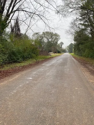 a view of a field with trees in the background