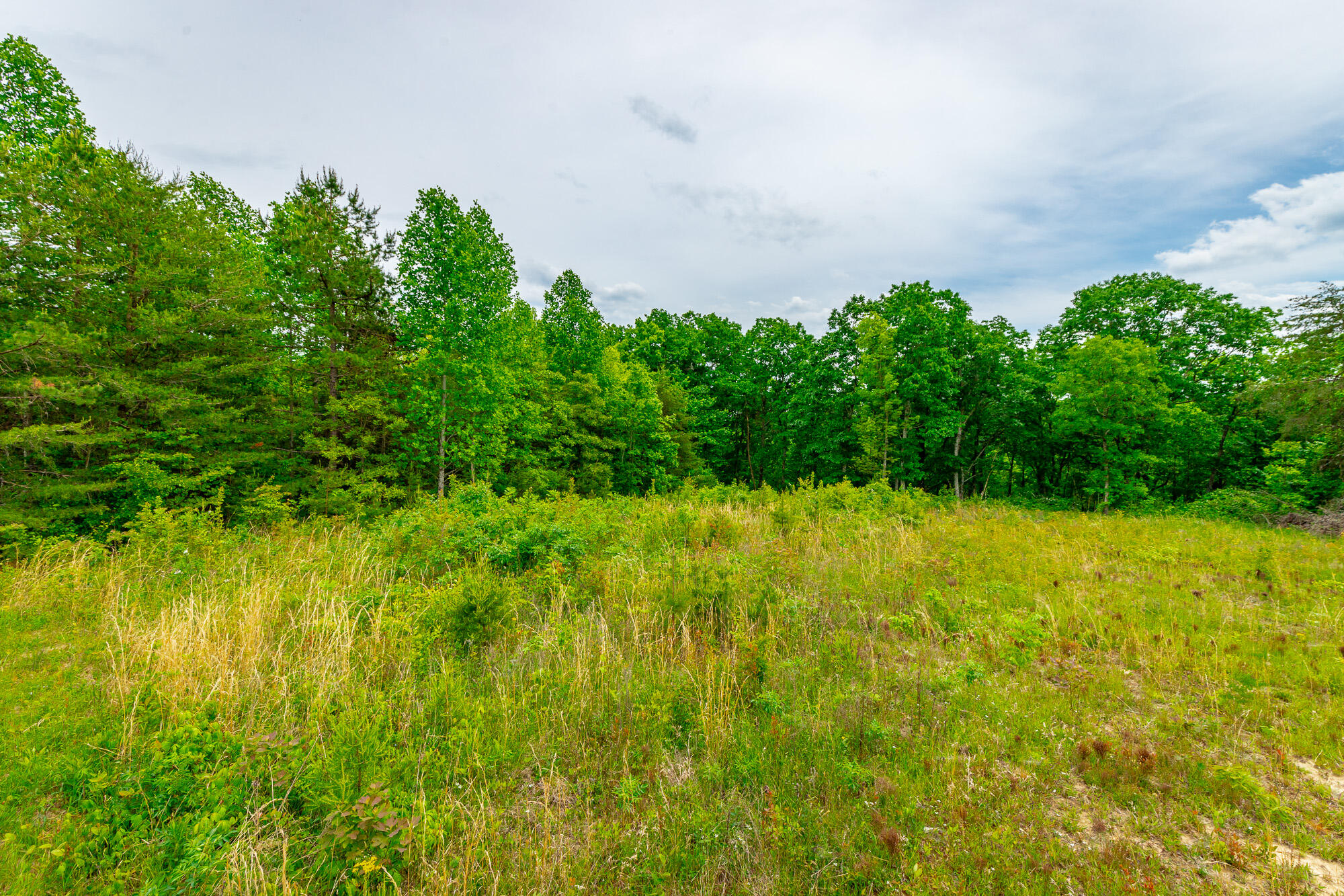 0 Ray Gadd Road Graysville, TN 37338 - Photo 85 of 109 Ray Gadd Road Lot HD-30