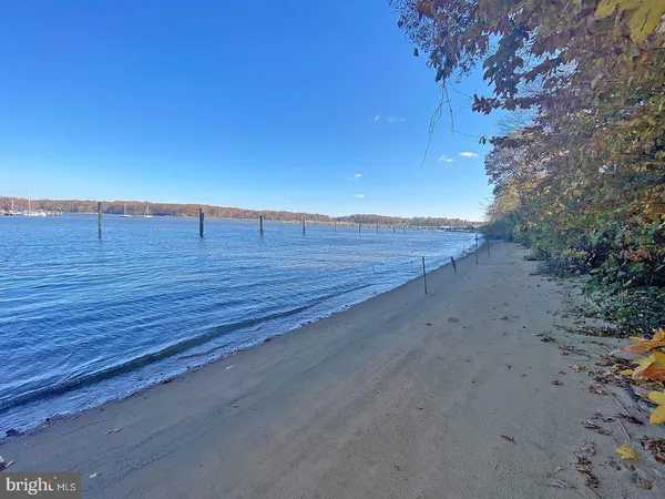 a view of a beach with an ocean view
