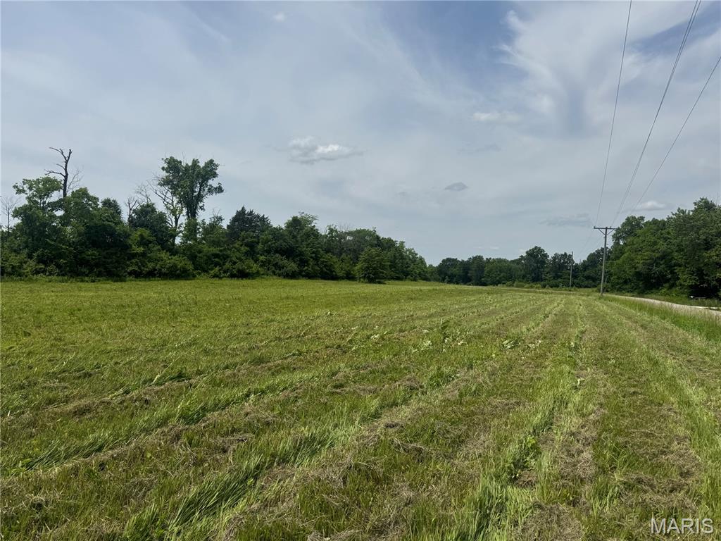 1122 Creech School Road Moscow Mills, MO 63362 - Photo 2 of 24