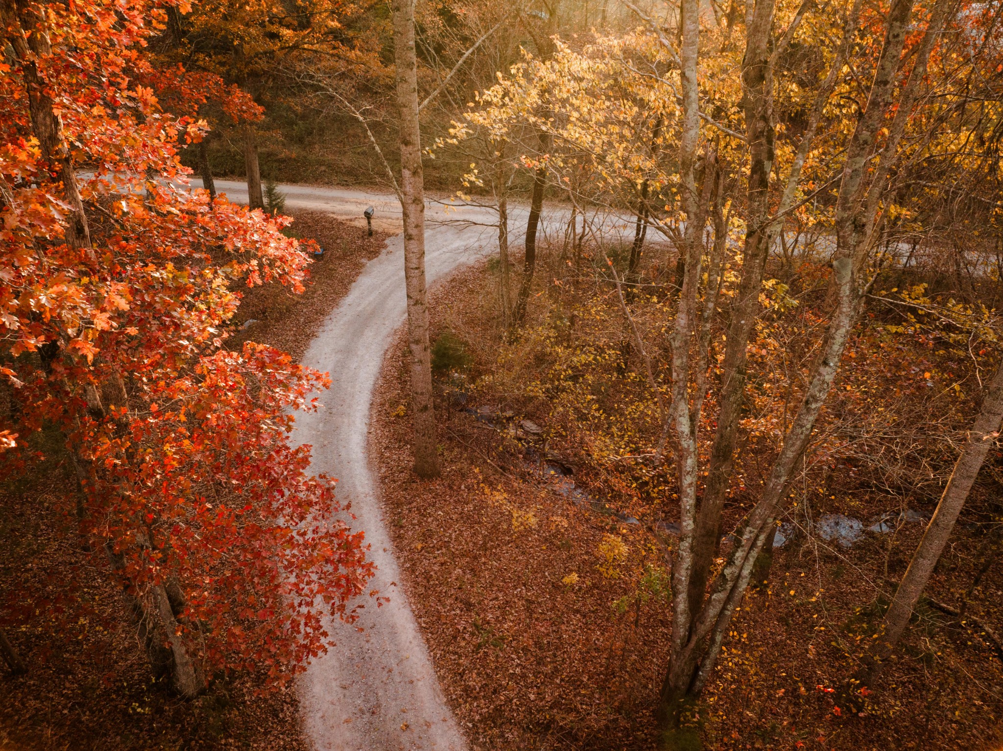 157 Henry Sharp Road Hohenwald, TN 38462 - Photo 4 of 16 Gallery Image 4
