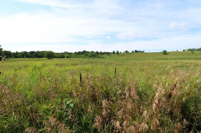 $1,100,000 | 5-xx West Ridge Road, Courtland, MN 56021