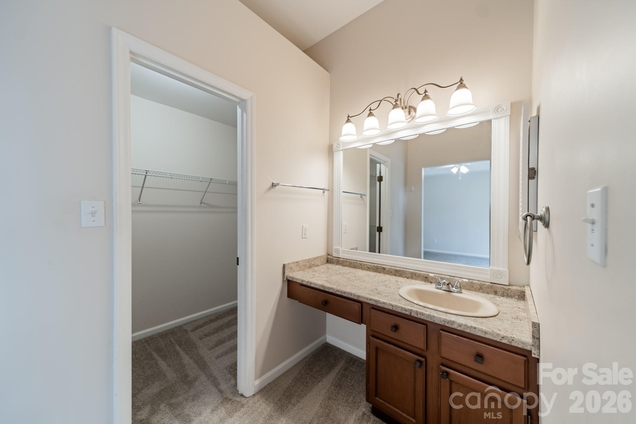 9409 Cedar River Road Huntersville, NC 28078 - Photo 28 of 31 a bathroom with a sink and a mirror