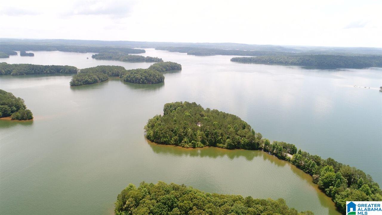 Lot # Jackson Trail, Unit 15 Lineville, AL 36266 - Photo 9 of 17