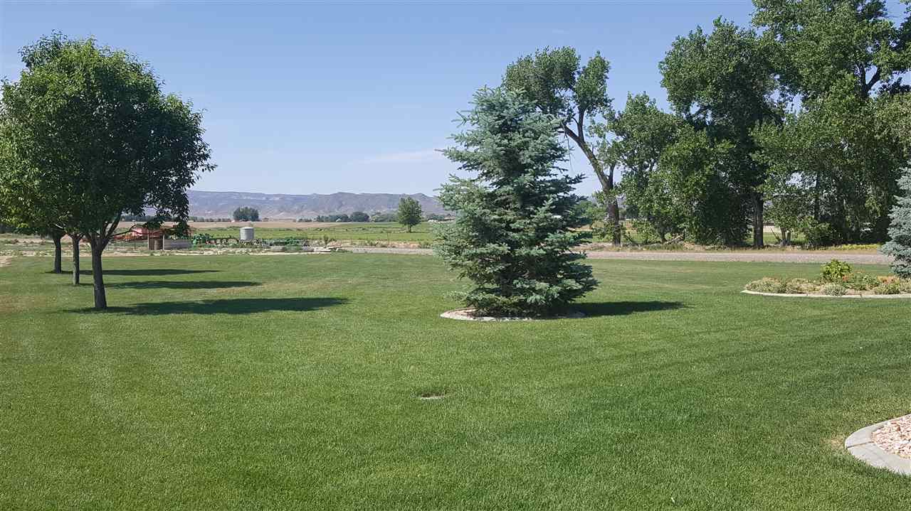 1247 Q Road Loma, CO 81524 - Photo 12 of 13 a view of a grassy field with trees