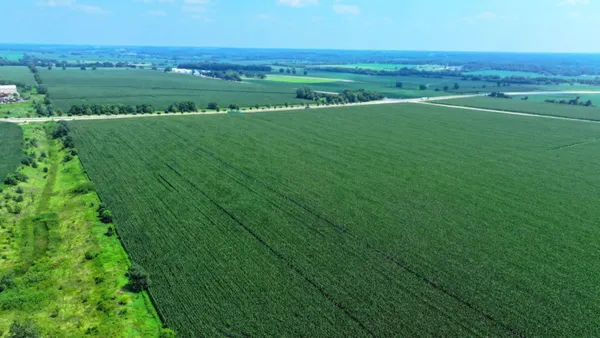 a green field with lots of trees in it