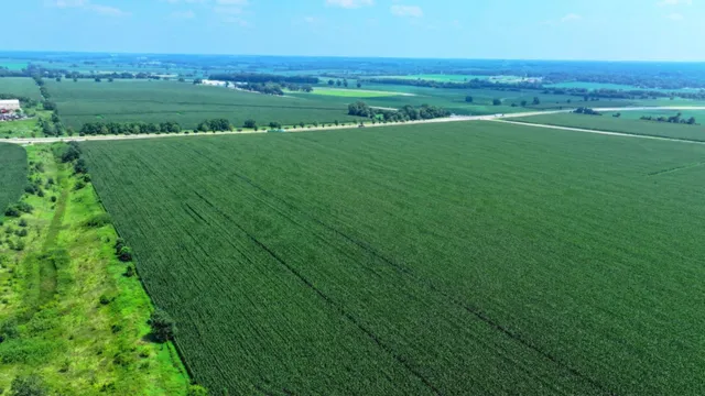 a green field with lots of trees in it