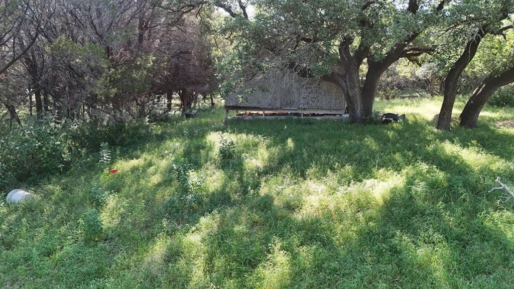 2801 Wind Point Court Tolar, TX 76476 - Photo 14 of 25 a big yard with lots of green space and deers