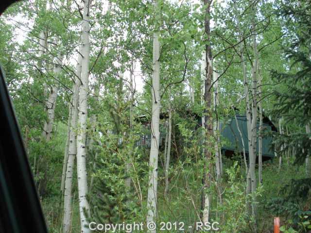 1867 Beaver Valley Road Victor, CO 80860 - Photo 10 of 11 Gallery Image 10