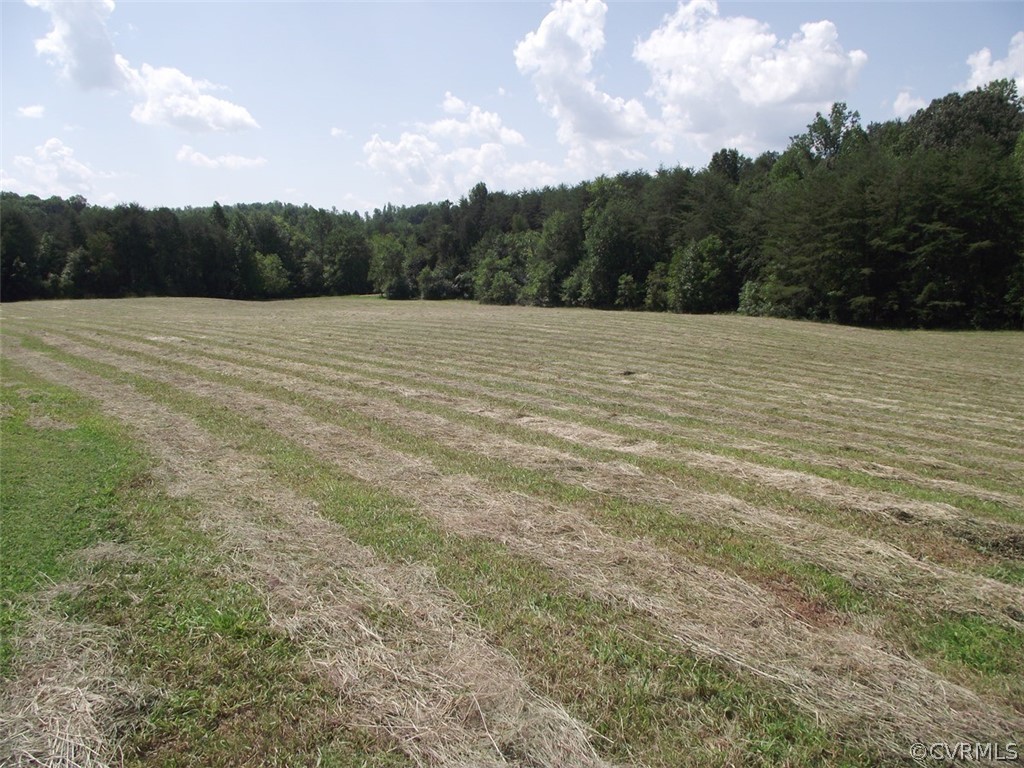 486 Pin Oak Road Pamplin, VA 23958 - Photo 9 of 47 Gallery Image 9
