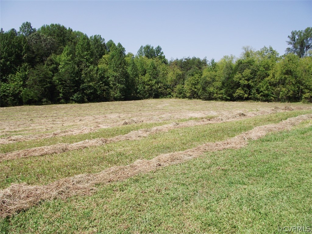 486 Pin Oak Road Pamplin, VA 23958 - Photo 10 of 47 Gallery Image 10