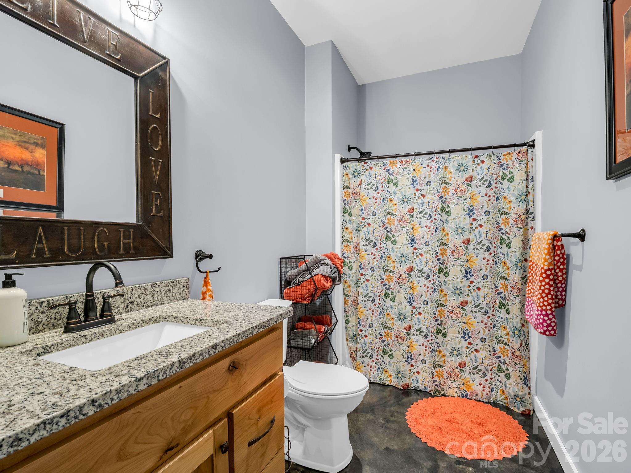 617 South Cove Road Mill Spring, NC 28756 - Photo 34 of 48