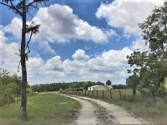 1450 Southeast Bridge Road Stuart, FL 34997 - Photo 8 of 13 1450 8