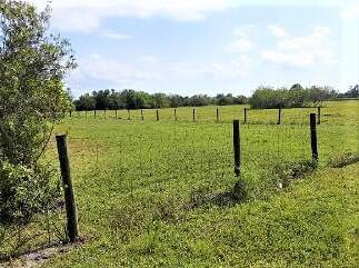 1450 Southeast Bridge Road Stuart, FL 34997 - Photo 9 of 13 1450 9