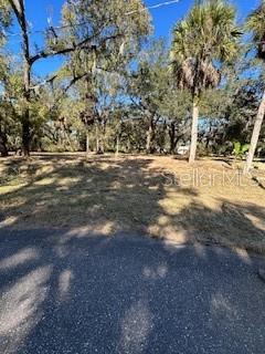 1204 Davies Road Brandon, FL 33511 - Photo 2 of 4 a view of a yard with large trees