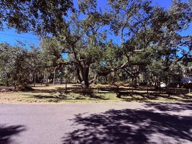 a view of street and trees