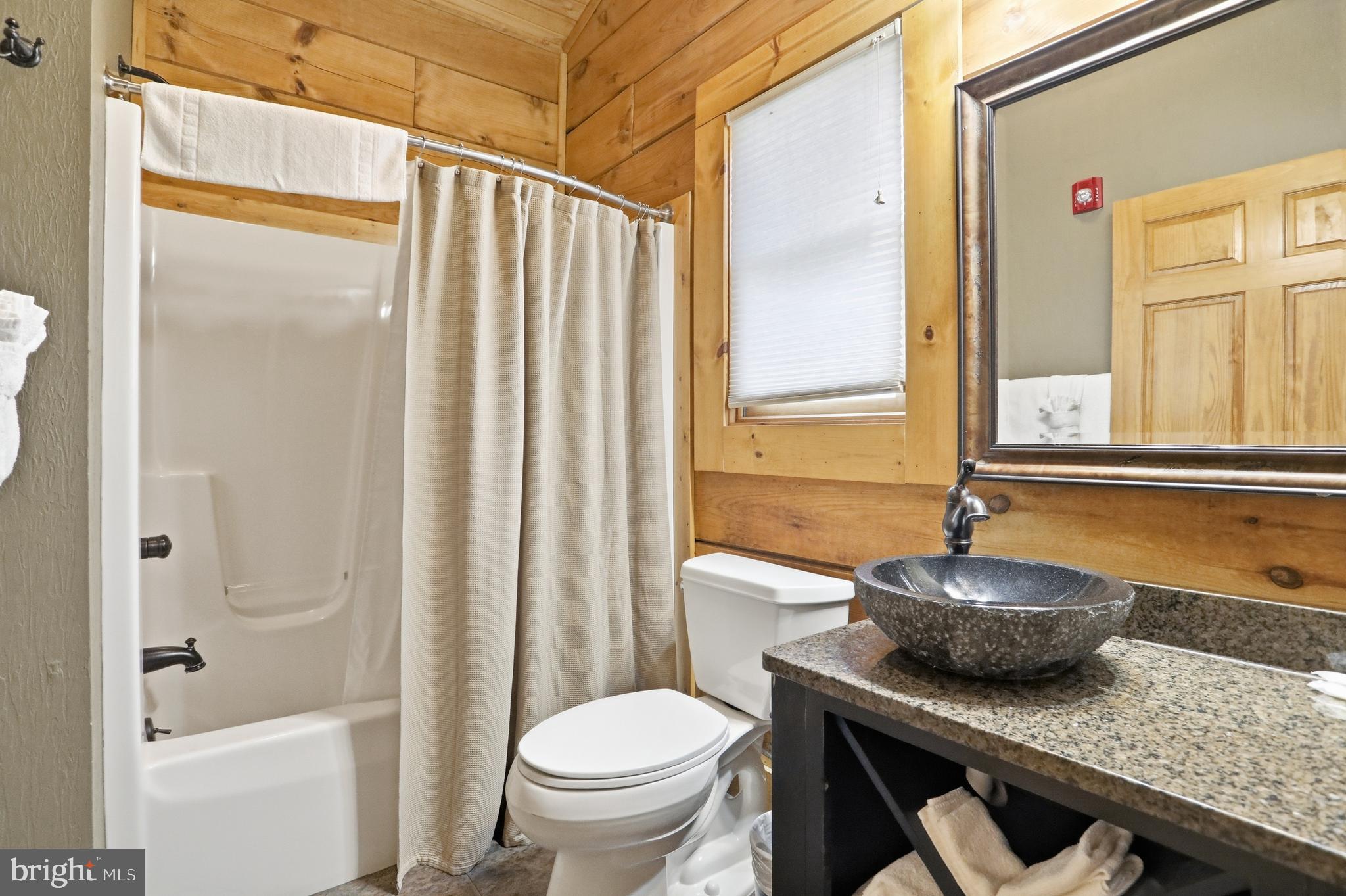 315 Cabin Lodge Road McHenry, MD 21541 - Photo 4 of 20