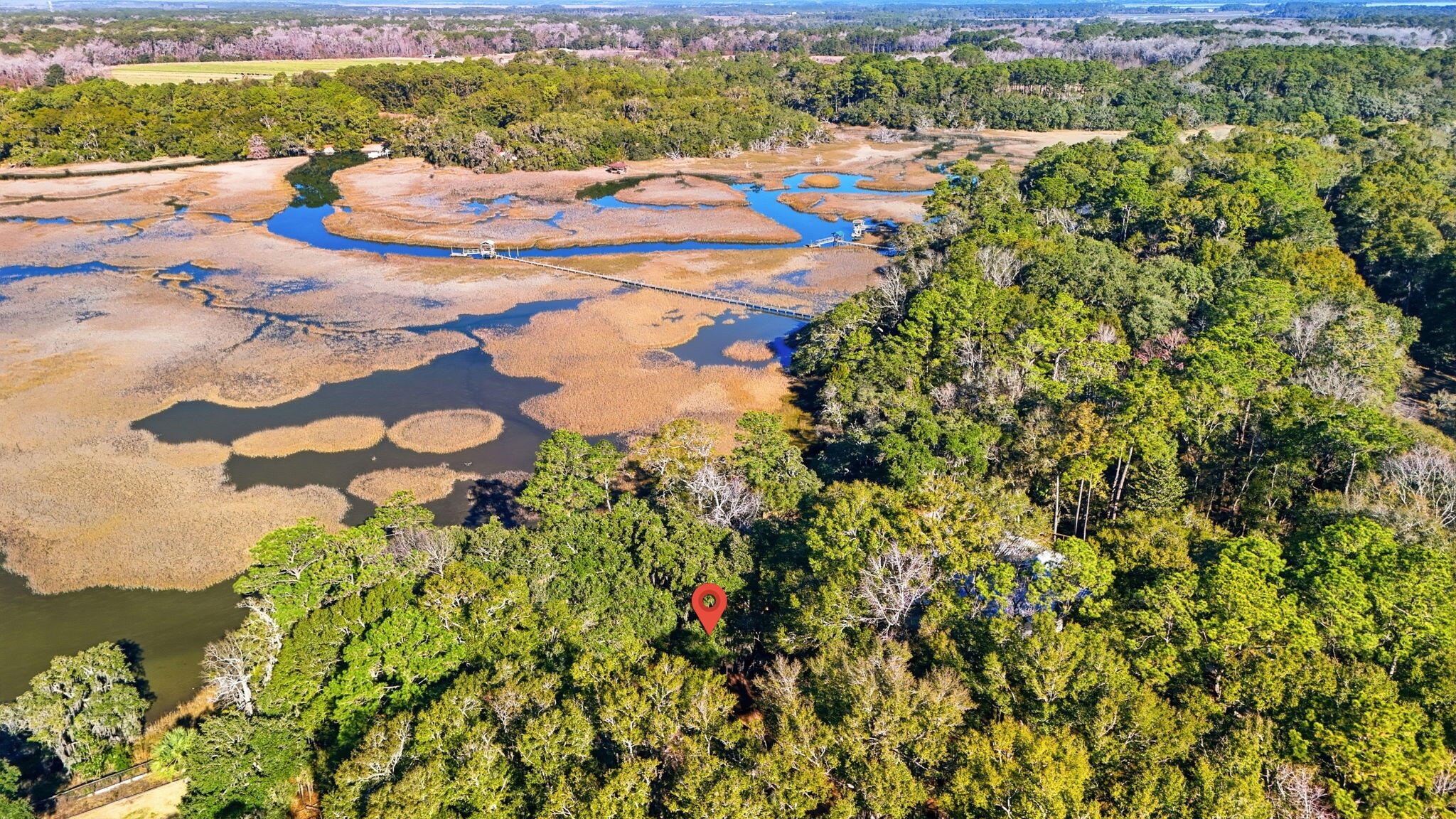 8448 Chisolm Plantation Road Edisto Island, SC 29438 - Photo 43 of 56 61-web-or-mls-011_DJI_20260122102009_003