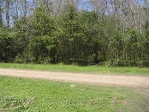 58 Carlotta Cleveland, TX 77327 - Photo 3 of 7 a view of a yard with a tree