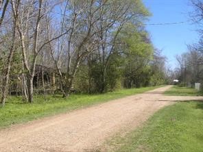58 Carlotta Cleveland, TX 77327 - Photo 5 of 7 a view of a field with trees