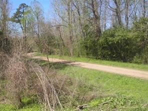 58 Carlotta Cleveland, TX 77327 - Photo 7 of 7 a view of a field with trees in the background