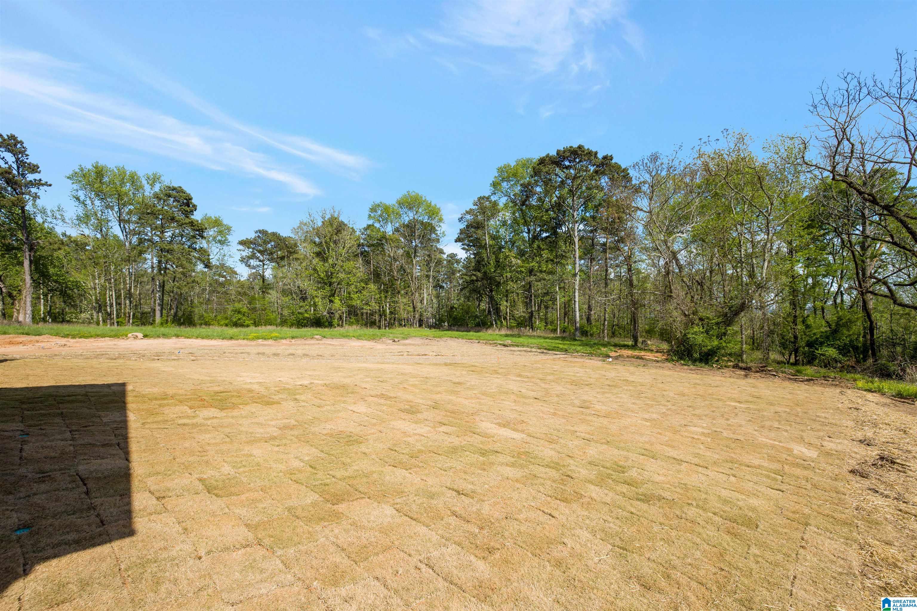 5365 South Shades Crest Road Helena, AL 35022 - Photo 16 of 17