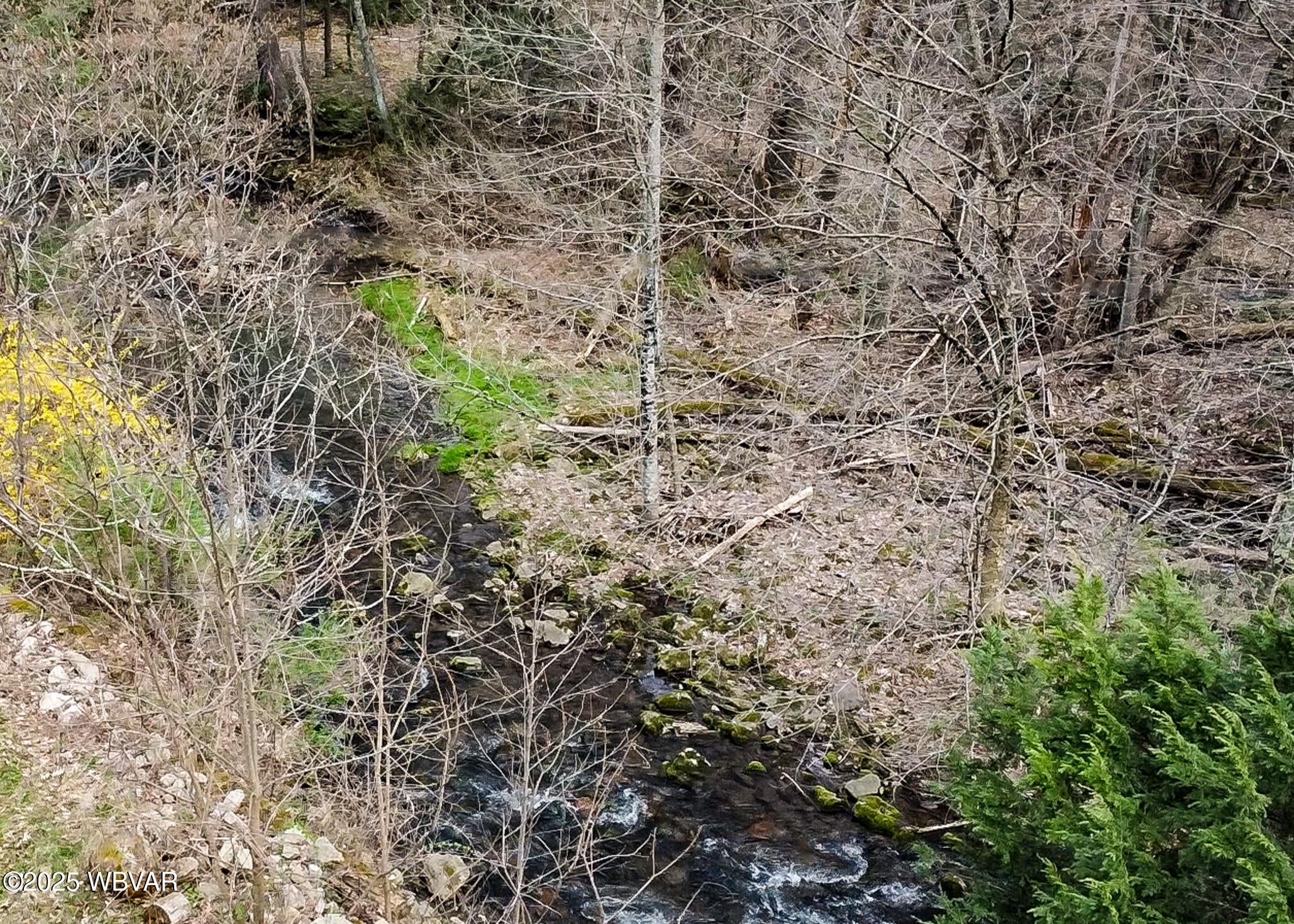 2616 Rauchtown Road Jersey Shore, PA 17740 - Photo 31 of 41 Stream from Aerial