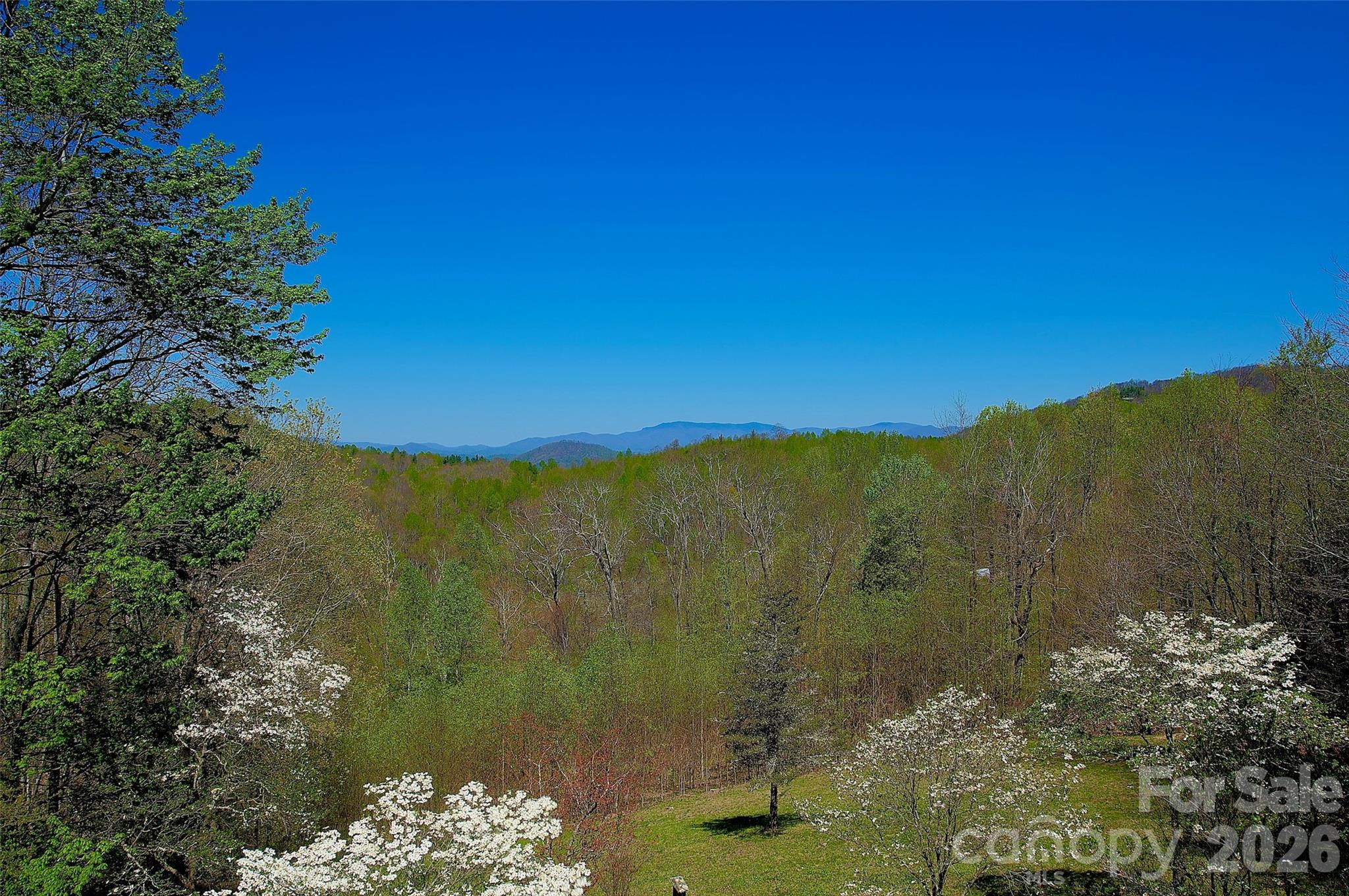551 Carvers Knob Road Spruce Pine, NC 28777 - Photo 2 of 42