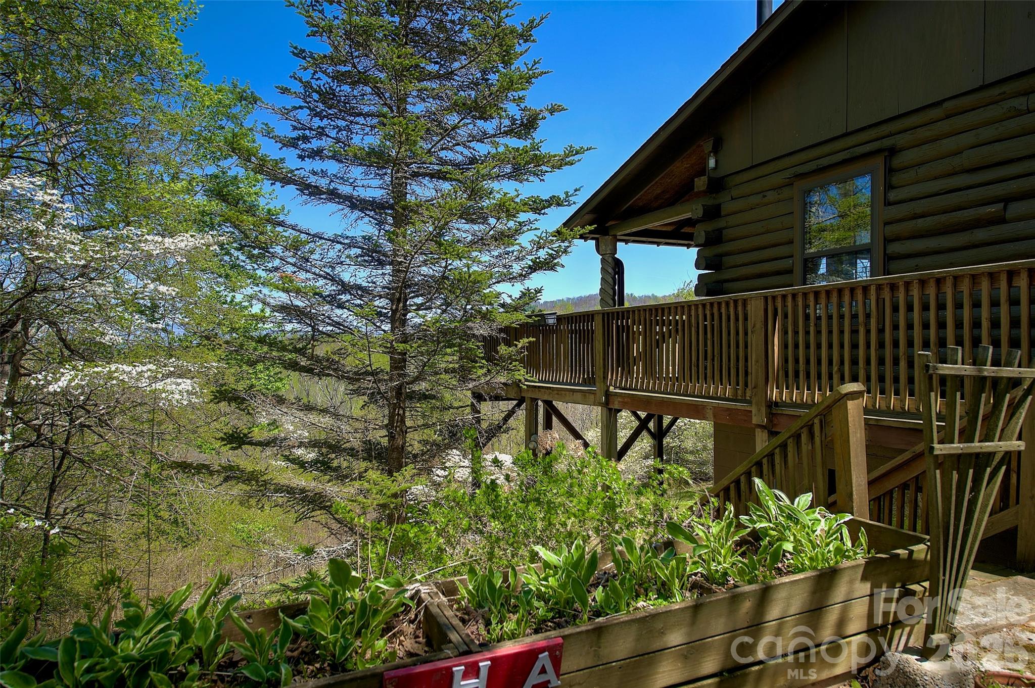 551 Carvers Knob Road Spruce Pine, NC 28777 - Photo 24 of 42