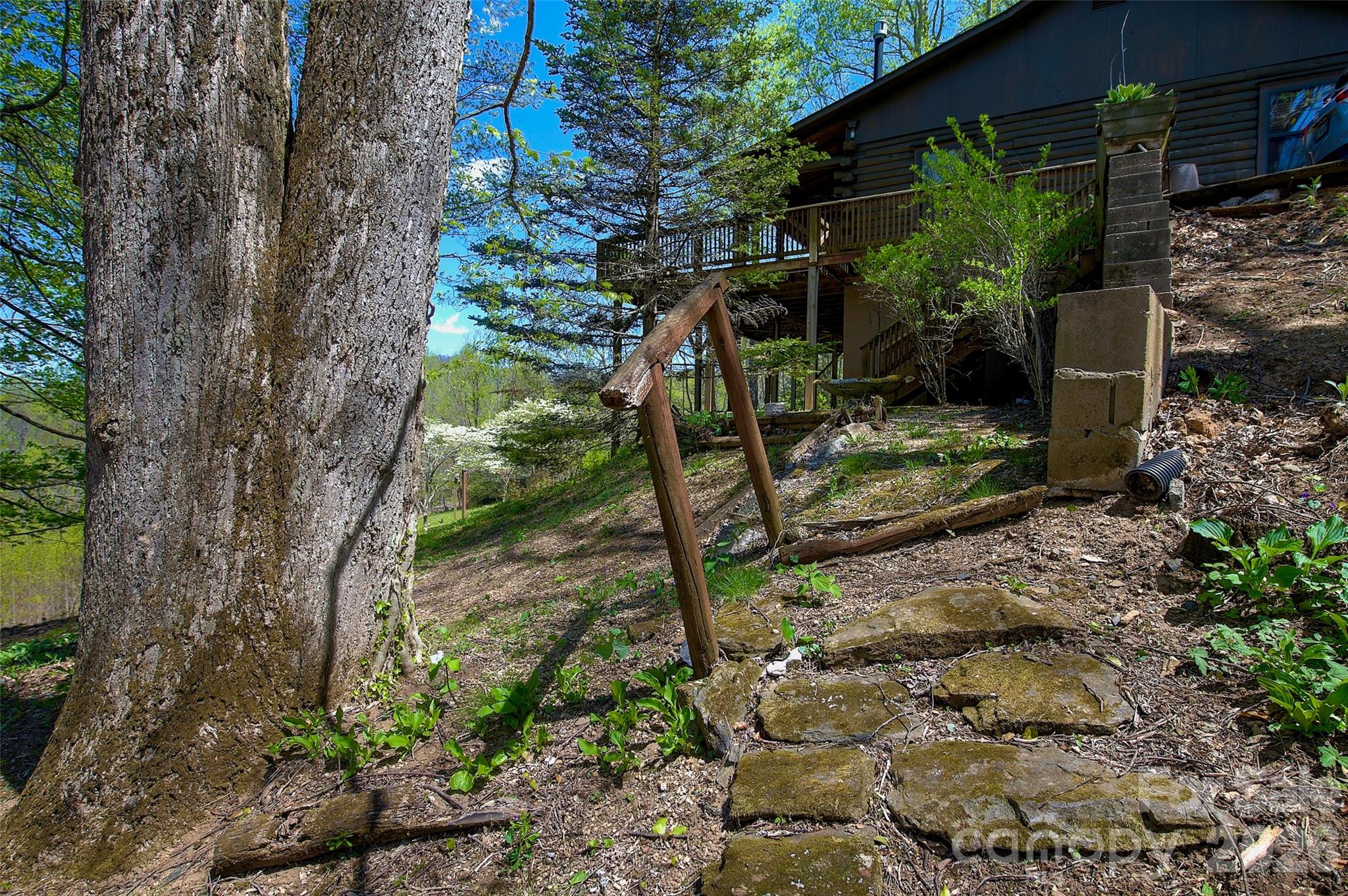 551 Carvers Knob Road Spruce Pine, NC 28777 - Photo 27 of 42