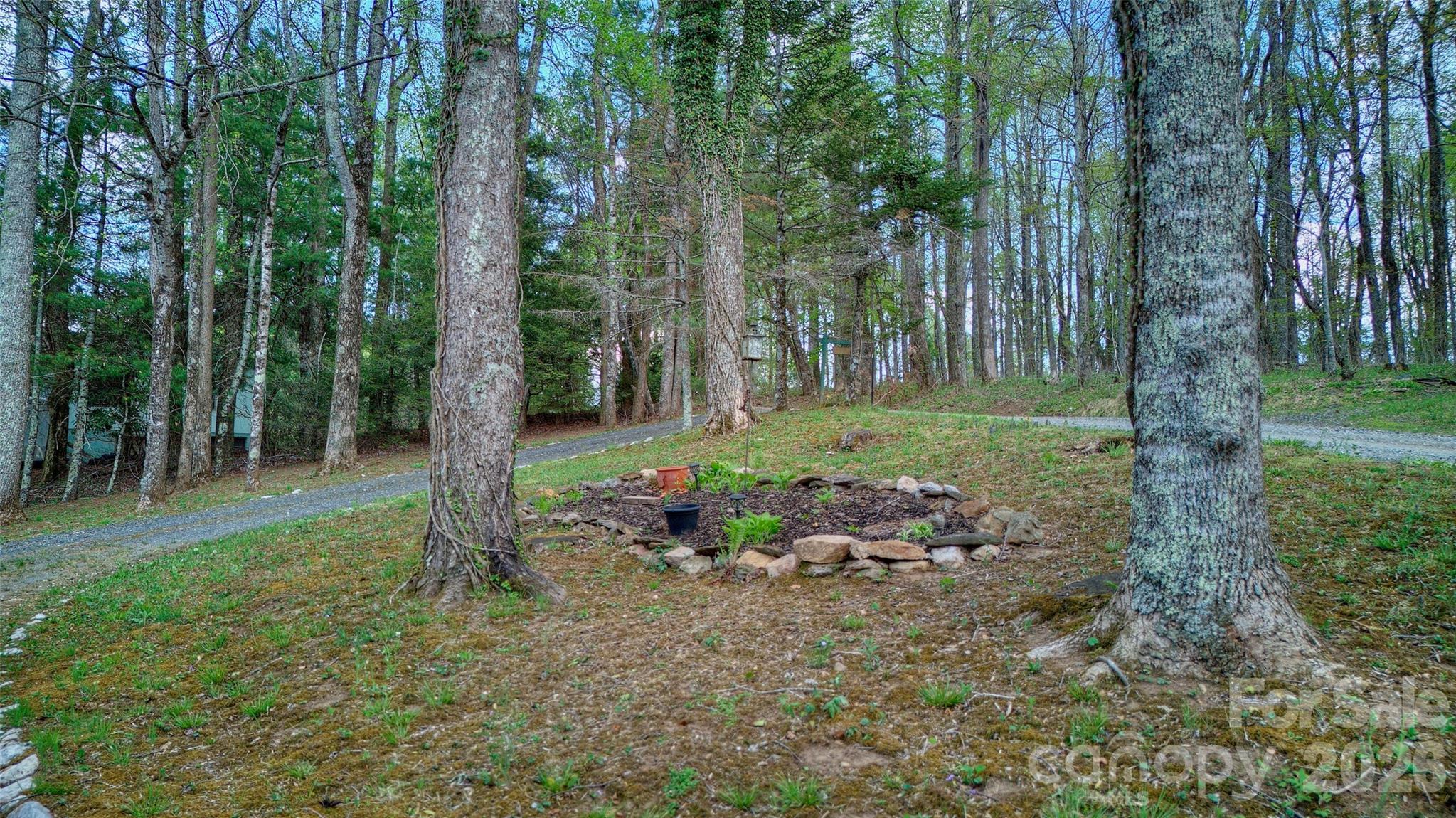 551 Carvers Knob Road Spruce Pine, NC 28777 - Photo 30 of 42