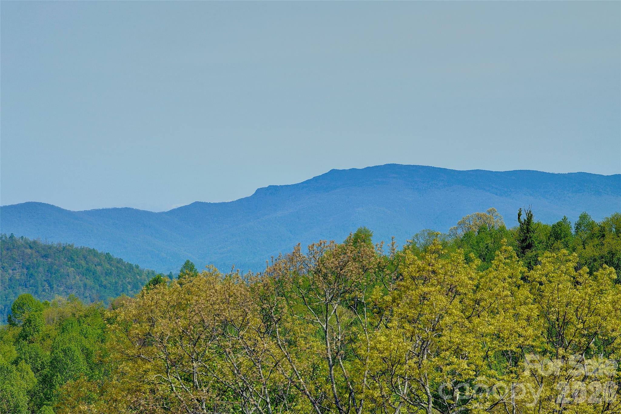 551 Carvers Knob Road Spruce Pine, NC 28777 - Photo 3 of 45