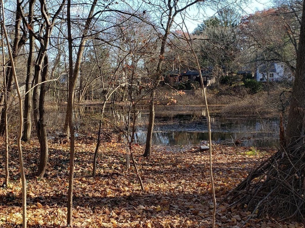 22 Marshall Road Natick, MA 01760 - Photo 34 of 38 Gallery Image 34