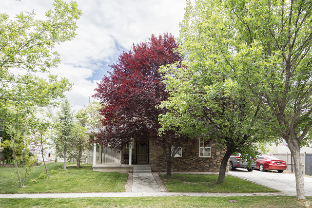 7797 North Windhover Road Eagle Mountain, UT 84005 - Photo 2 of 33 Stone veneer exterior with a covered front porch and mature landscaping