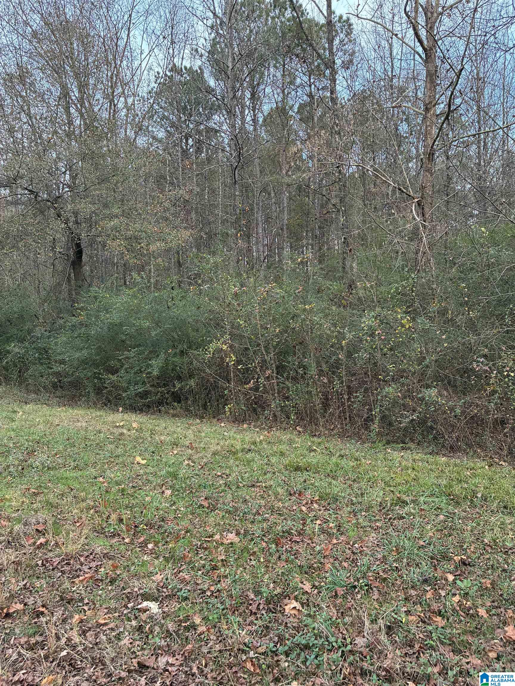 0 Highway 160 Hayden, AL 35079 - Photo 2 of 6