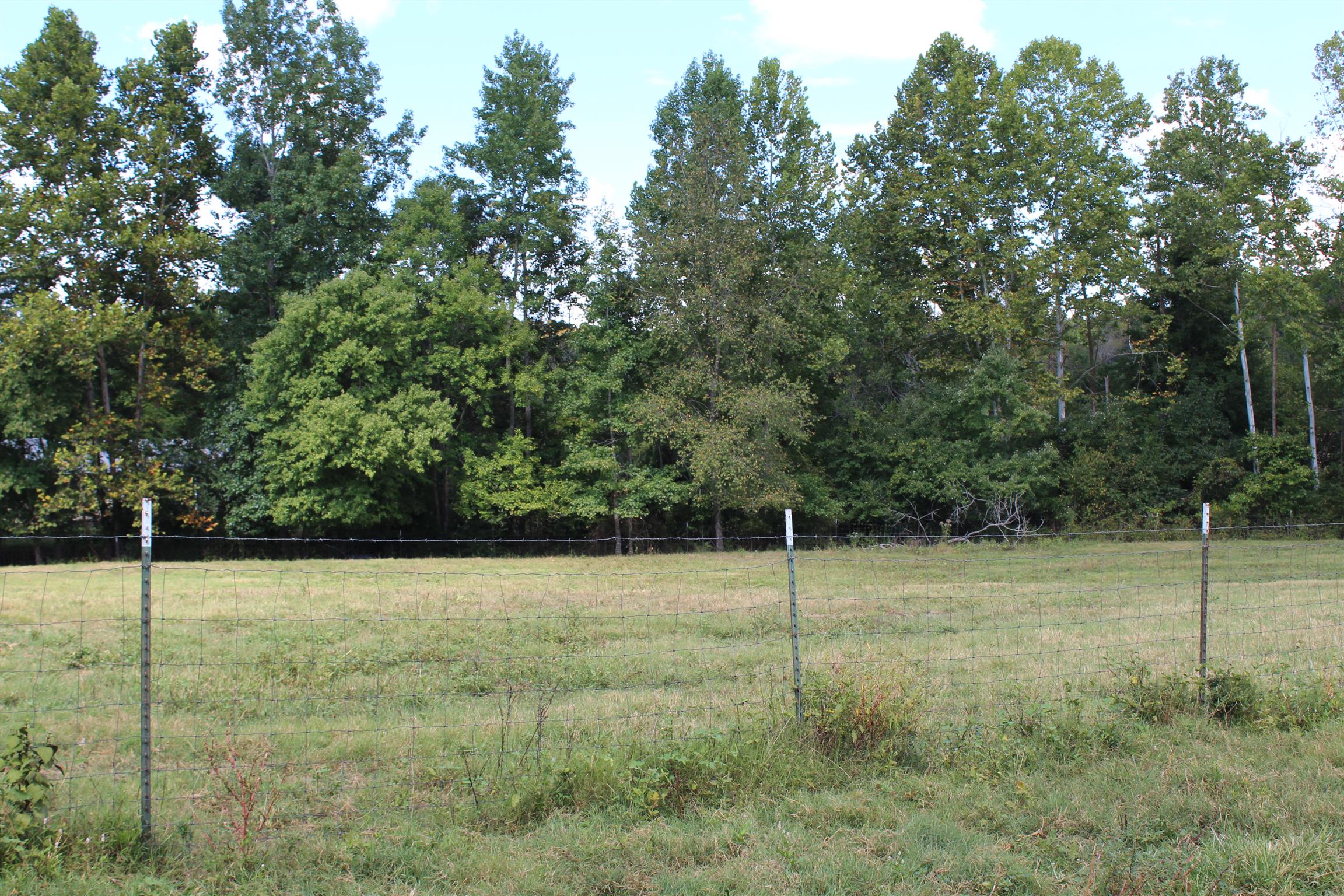 932 CCC Road McEwen, TN 37101 - Photo 21 of 30 a view of a room with a entertaining space