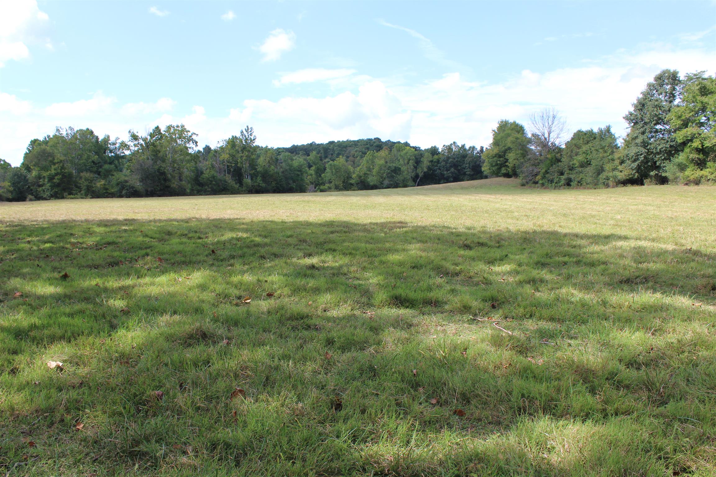 932 CCC Road McEwen, TN 37101 - Photo 24 of 30 a view of a green field