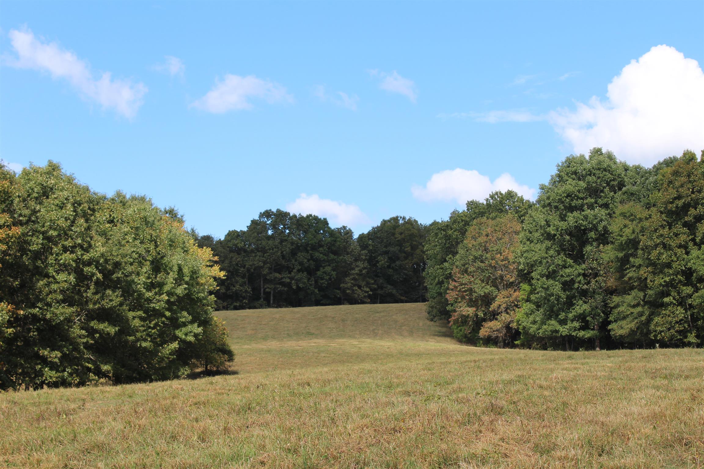 932 CCC Road McEwen, TN 37101 - Photo 25 of 30 a view of a field