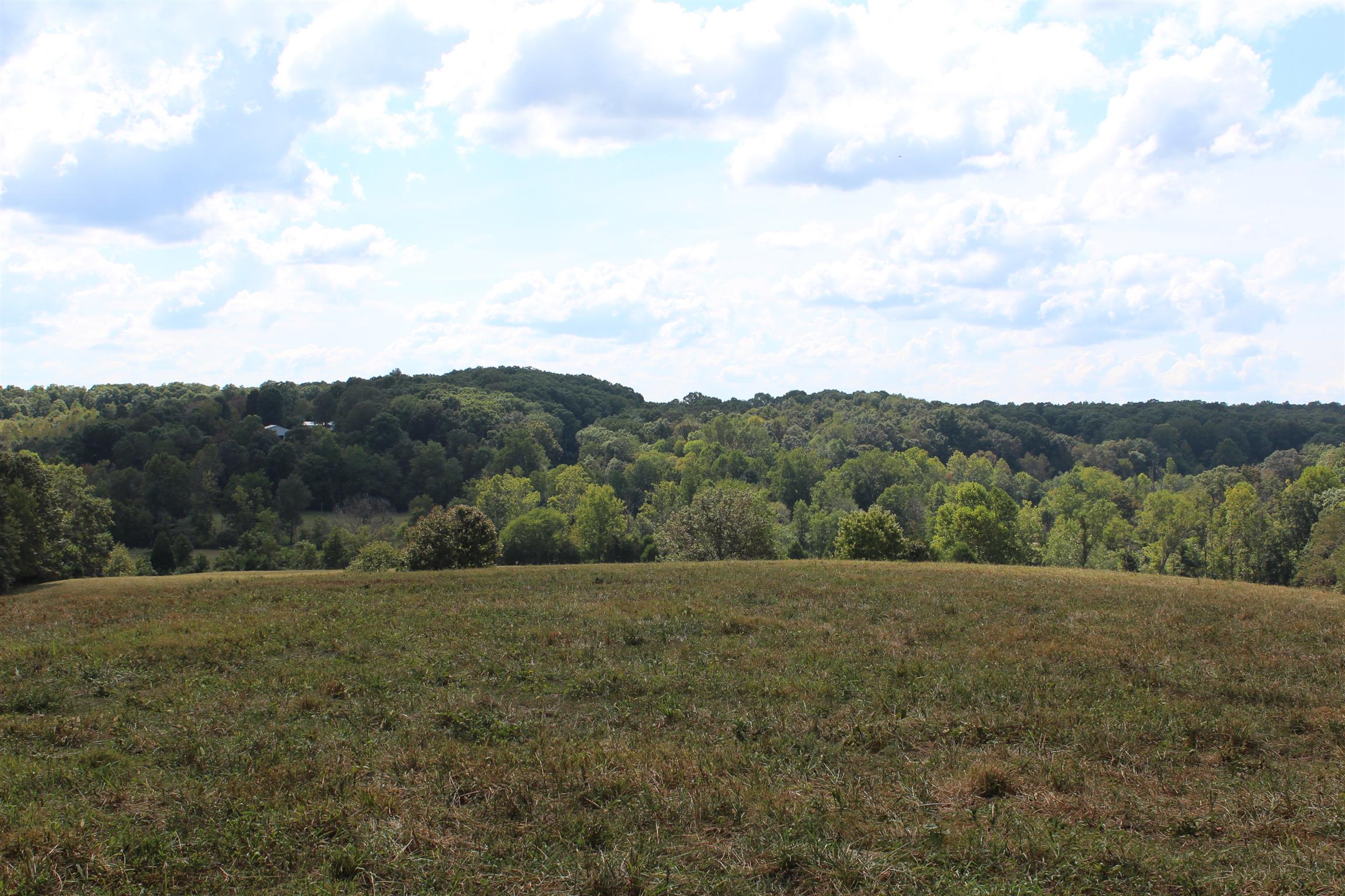 932 CCC Road McEwen, TN 37101 - Photo 28 of 30 a view of an outdoor space and mountains