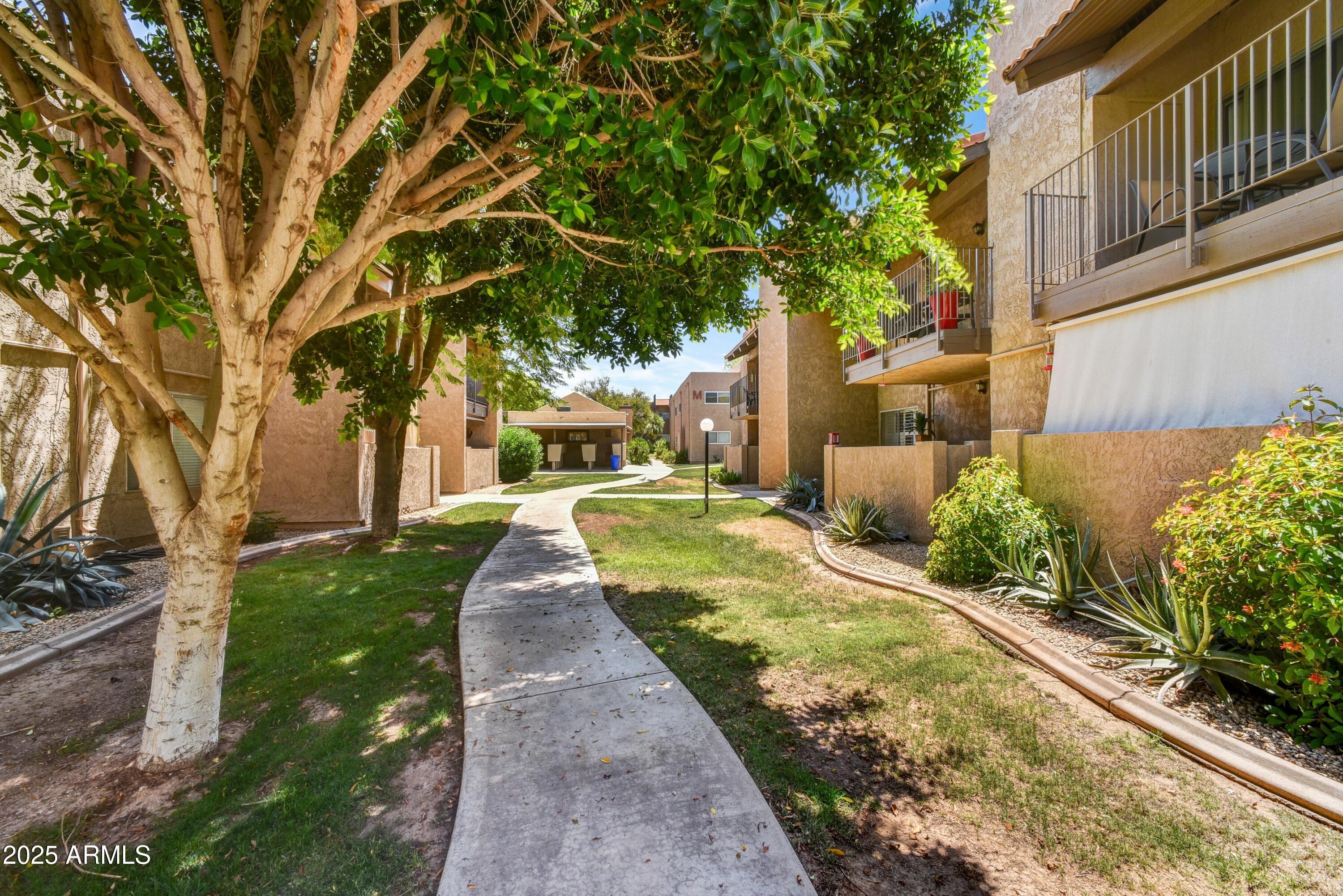 5525 East Thomas Road, Unit N1 Phoenix, AZ 85018 - Photo 3 of 18 Walkway to Unit N-1