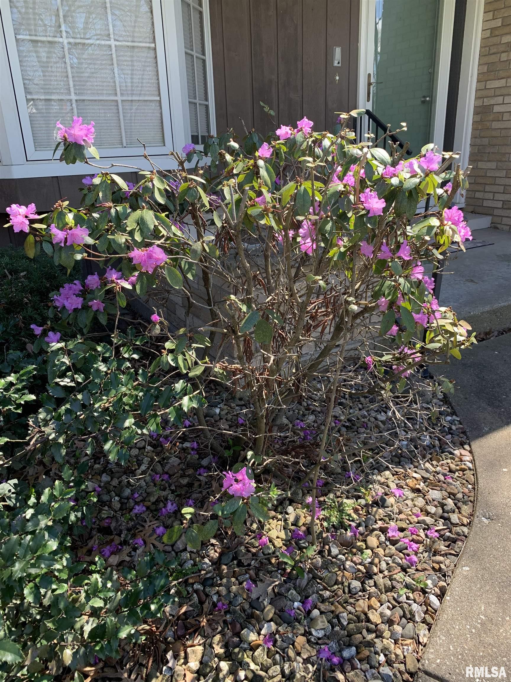 2424 Curved Creek Road Quincy, IL 62305 - Photo 5 of 21