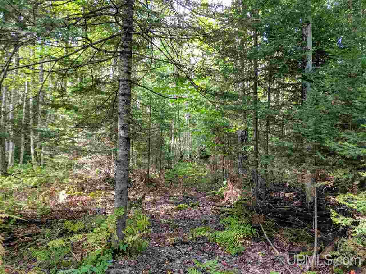 921 Sand River Road Deerton, MI 49822 - Photo 39 of 49 Gallery Image 39