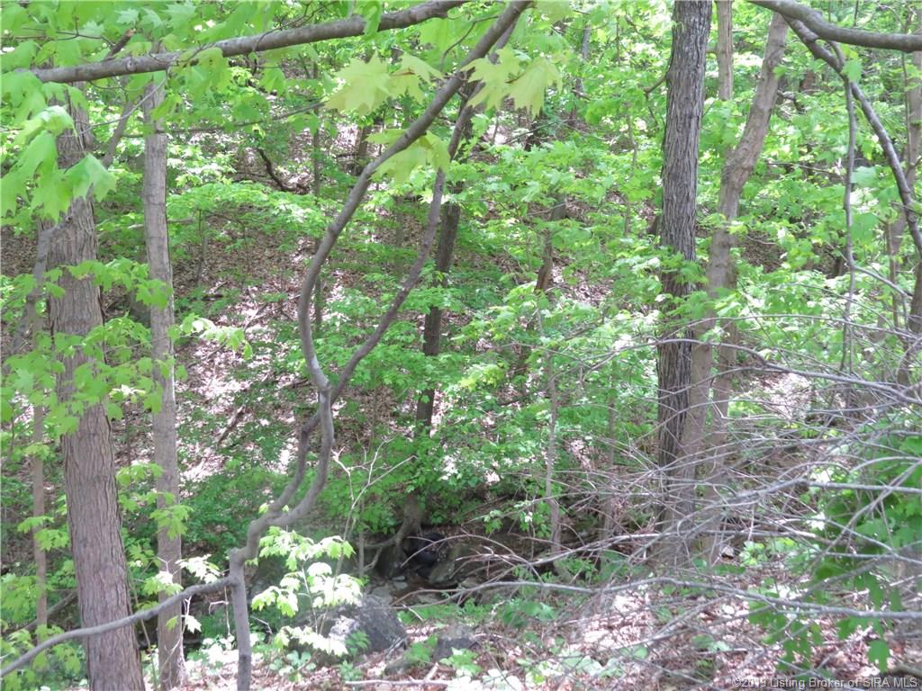 Glass Overlook Road Southeast Elizabeth, IN 47117 - Photo 11 of 16 Gallery Image 11