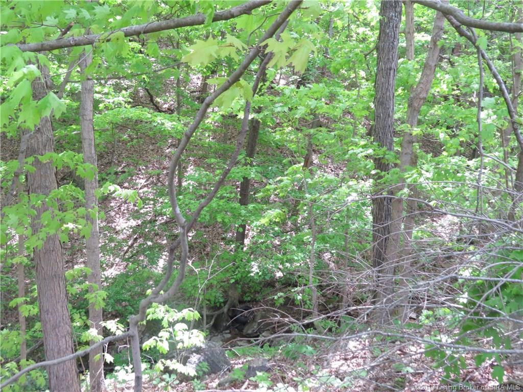 Glass Overlook Road Southeast Elizabeth, IN 47117 - Photo 5 of 16 Gallery Image 5